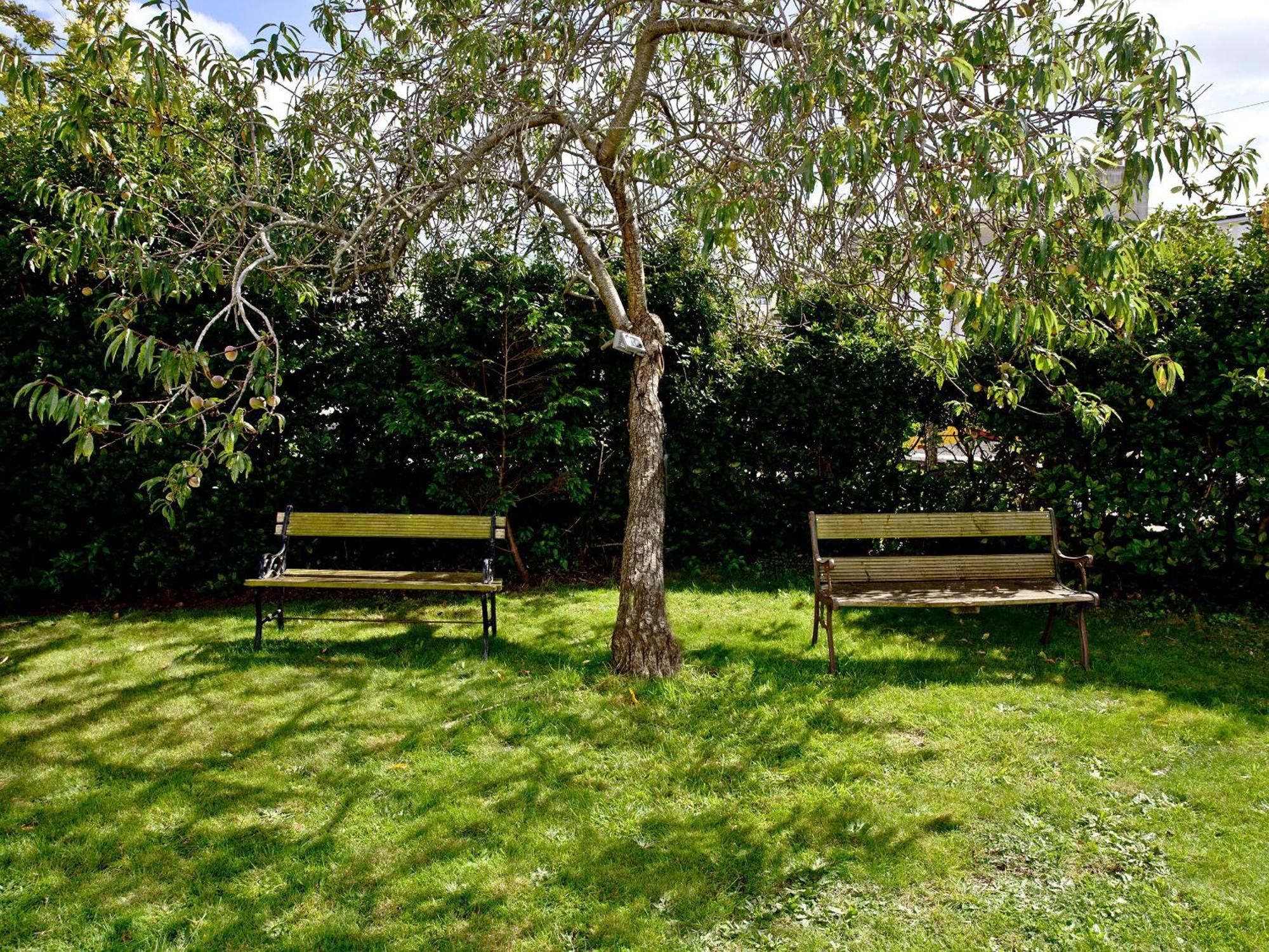 Devon Villa Garden Apartment Torquay Ngoại thất bức ảnh